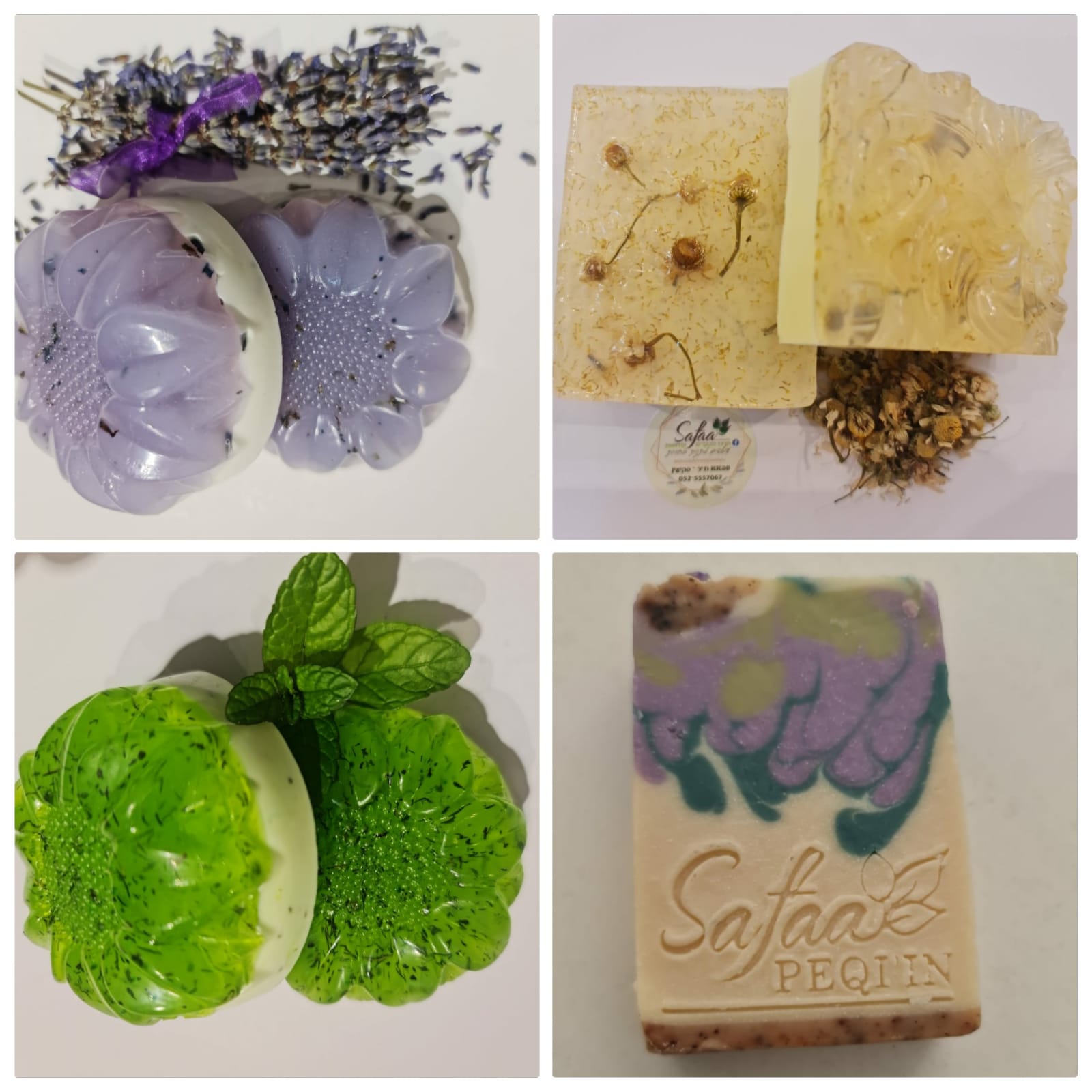 PHOTO-2023-09-12-08-05-54