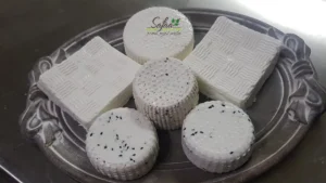 סדנאות מגניבות