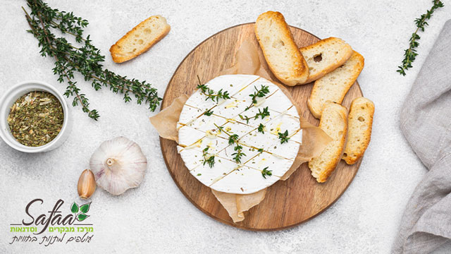 סדנת בישול בצפון