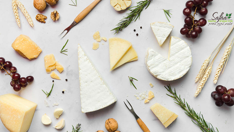 סדנת בישול בצפון