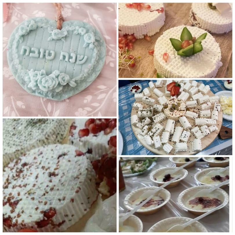 PHOTO-2023-09-14-08-26-44